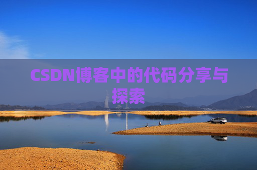 CSDN博客中的代码分享与探索
